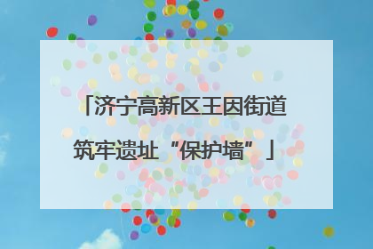 济宁高新区王因街道筑牢遗址“保护墙”