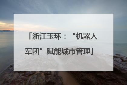 浙江玉环：“机器人军团”赋能城市管理