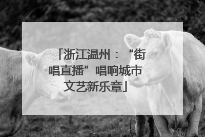 浙江温州：“街唱直播”唱响城市文艺新乐章