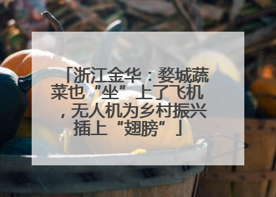 浙江金华：婺城蔬菜也“坐”上了飞机，无人机为乡村振兴插上“翅膀”