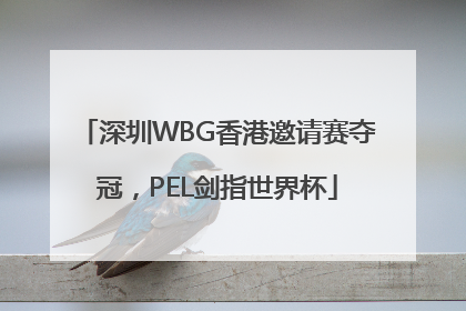 深圳WBG香港邀请赛夺冠，PEL剑指世界杯