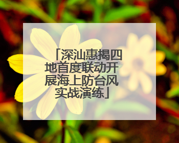 深汕惠揭四地首度联动开展海上防台风实战演练