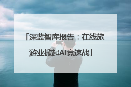 深蓝智库报告：在线旅游业掀起AI竞速战