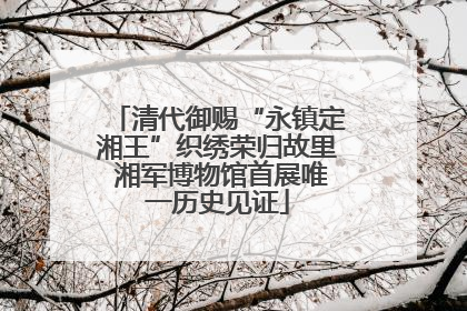 清代御赐“永镇定湘王”织绣荣归故里 湘军博物馆首展唯一历史见证