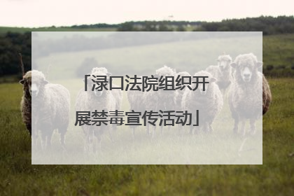 渌口法院组织开展禁毒宣传活动