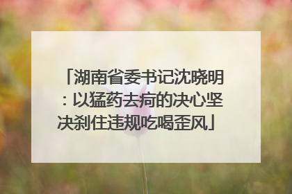 湖南省委书记沈晓明：以猛药去疴的决心坚决刹住违规吃喝歪风