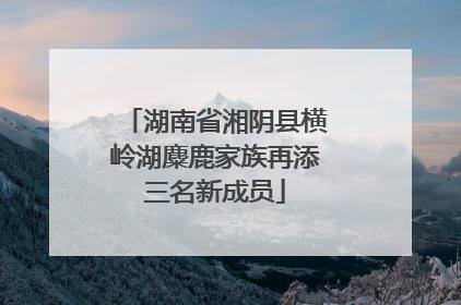 湖南省湘阴县横岭湖麋鹿家族再添三名新成员