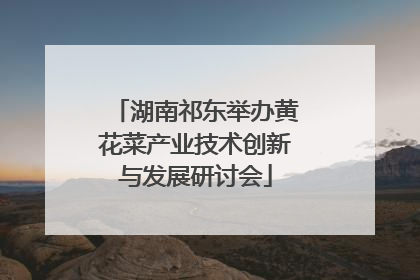 湖南祁东举办黄花菜产业技术创新与发展研讨会