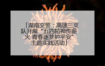 湖南交警：高速三支队开展“五四精神传薪火 青春逐梦护平安”主题实践活动