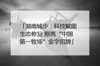 湖南城步：科技赋能生态修复 擦亮“中国第一牧场”金字招牌