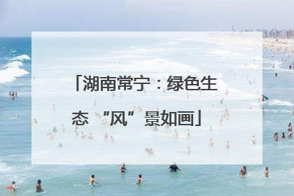 湖南常宁：绿色生态 “风”景如画