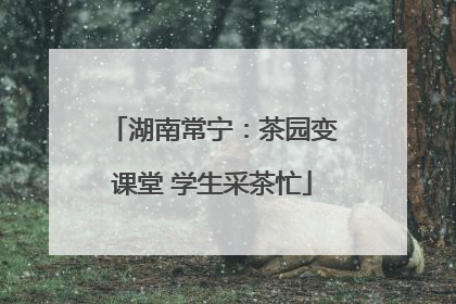 湖南常宁：茶园变课堂 学生采茶忙