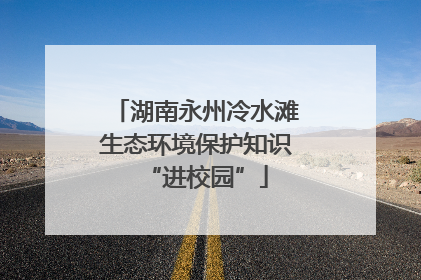 湖南永州冷水滩生态环境保护知识“进校园”