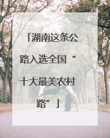 湖南这条公路入选全国“十大最美农村路”