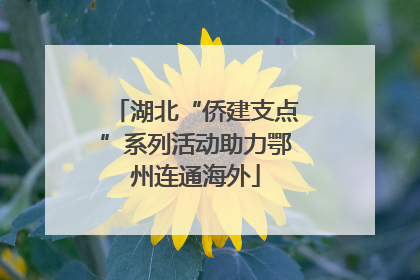 湖北“侨建支点”系列活动助力鄂州连通海外
