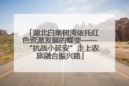 湖北白果树湾依托红色资源发展的蝶变——“抗战小延安”走上农旅融合振兴路