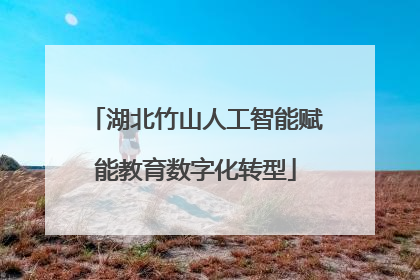 湖北竹山人工智能赋能教育数字化转型