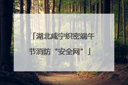 湖北咸宁织密端午节消防“安全网”