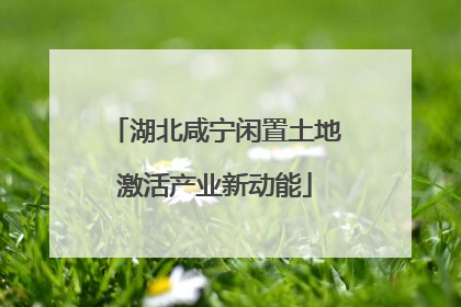 湖北咸宁闲置土地激活产业新动能