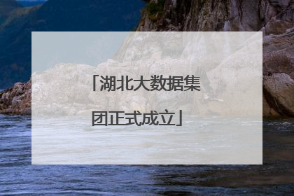 湖北大数据集团正式成立