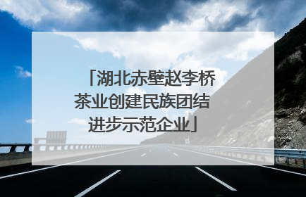 湖北赤壁赵李桥茶业创建民族团结进步示范企业