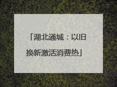 湖北通城：以旧换新激活消费热