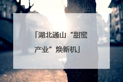 湖北通山“甜蜜产业”焕新机