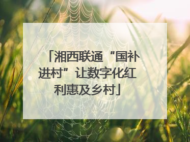 湘西联通“国补进村”让数字化红利惠及乡村