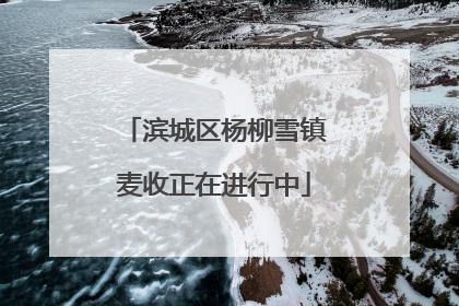 滨城区杨柳雪镇麦收正在进行中