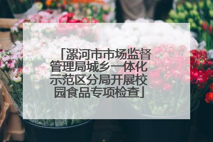 漯河市市场监督管理局城乡一体化示范区分局开展校园食品专项检查