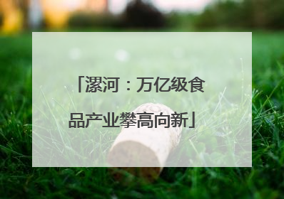 漯河：万亿级食品产业攀高向新