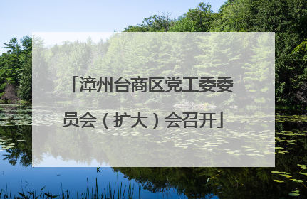 漳州台商区党工委委员会（扩大）会召开
