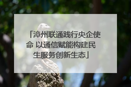 漳州联通践行央企使命 以通信赋能构建民生服务创新生态