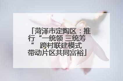 菏泽市定陶区：推行“一统领 三统筹” 跨村联建模式 带动片区共同富裕