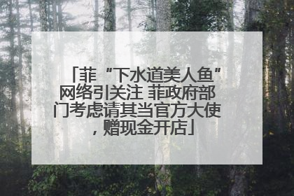 菲“下水道美人鱼”网络引关注 菲政府部门考虑请其当官方大使，赠现金开店