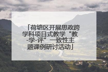荷塘区开展思政跨学科项目式教学“教-学-评”一致性主题课例研讨活动