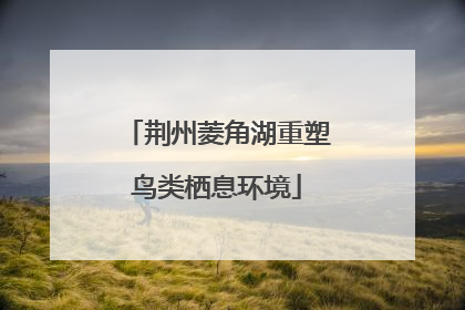 荆州菱角湖重塑鸟类栖息环境