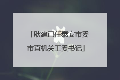 耿建已任泰安市委市直机关工委书记