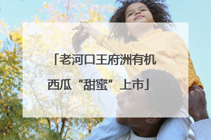 老河口王府洲有机西瓜“甜蜜”上市