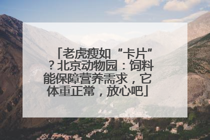 老虎瘦如“卡片”？北京动物园：饲料能保障营养需求，它体重正常，放心吧