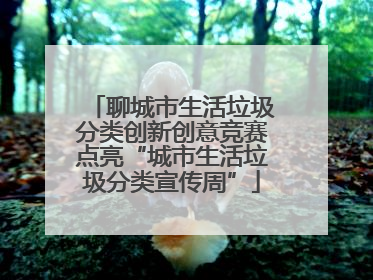 聊城市生活垃圾分类创新创意竞赛点亮“城市生活垃圾分类宣传周”