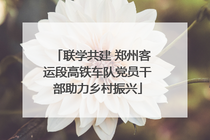 联学共建 郑州客运段高铁车队党员干部助力乡村振兴