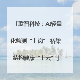联智科技：AI轻量化监测“上岗” 桥梁结构健康“上云”