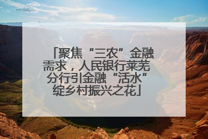 聚焦“三农”金融需求，人民银行莱芜分行引金融“活水”绽乡村振兴之花