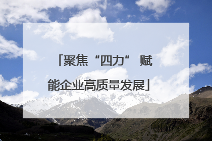 聚焦“四力” 赋能企业高质量发展