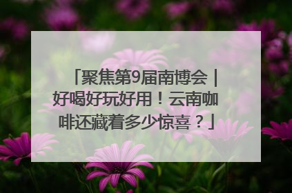 聚焦第9届南博会｜好喝好玩好用！云南咖啡还藏着多少惊喜？