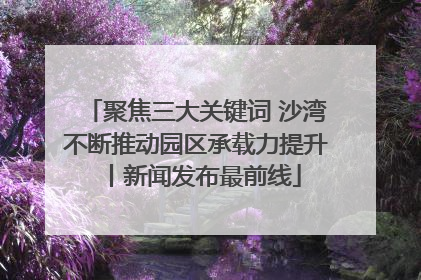 聚焦三大关键词 沙湾不断推动园区承载力提升丨新闻发布最前线