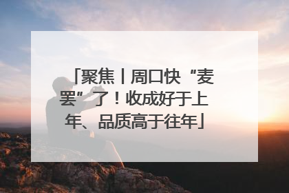 聚焦丨周口快“麦罢”了！收成好于上年、品质高于往年