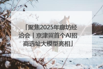聚焦2025年廊坊经洽会丨京津冀首个AI招商选址大模型亮相