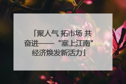 聚人气 拓市场 共奋进——“塞上江南”经济焕发新活力